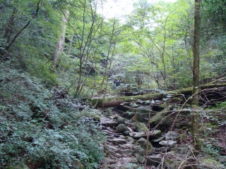 d0182075_1841248.jpg