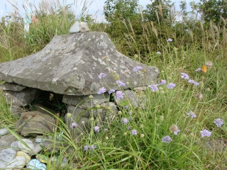 d0182075_1982069.jpg