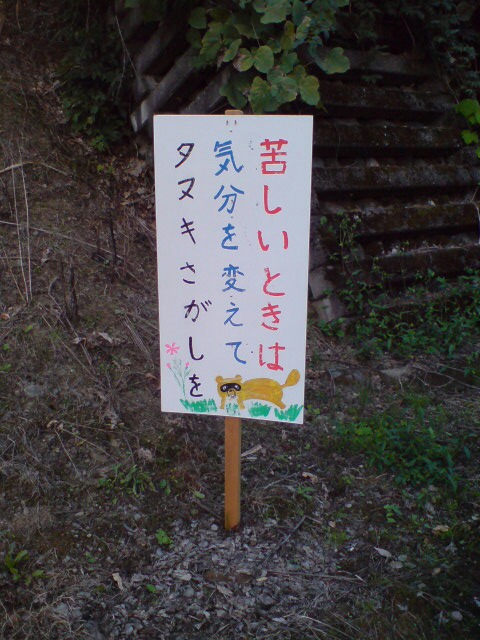 蕎麦の花畑。_d0182179_1993720.jpg