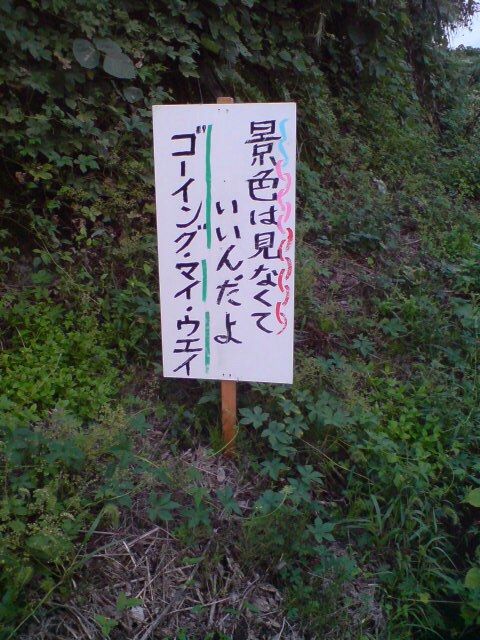 蕎麦の花畑。_d0182179_1994610.jpg