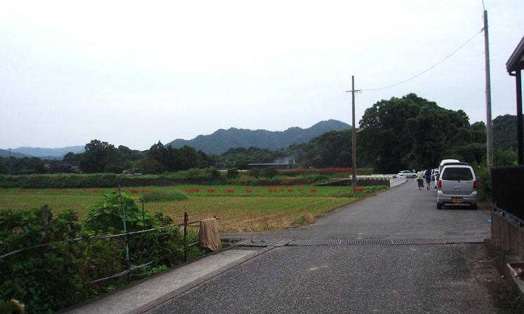 f0101679_23443669.jpg