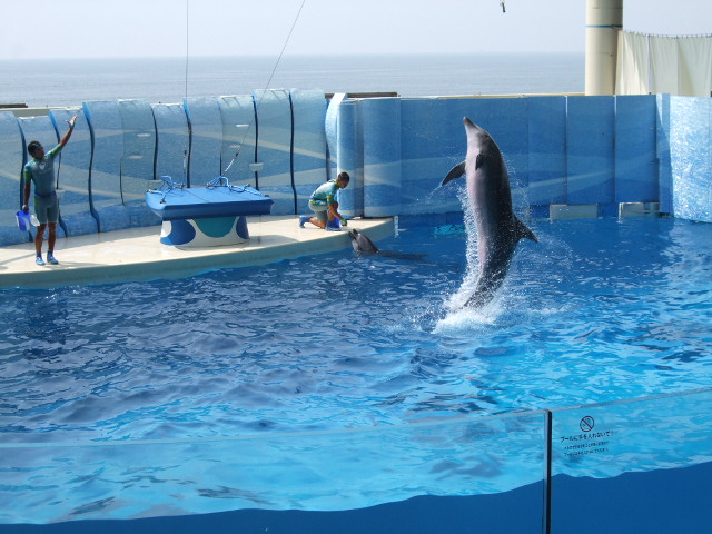 江ノ島水族館へおでかけ_e0123680_22224511.jpg