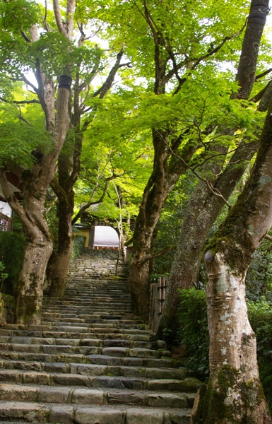 京都ふたり旅-5　寂光院_e0183783_22493084.jpg