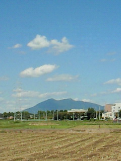 良い天気♪_d0091994_1913192.jpg