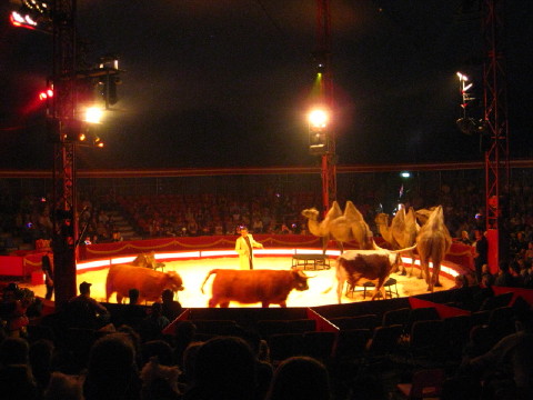 c0180096_9353253.jpg