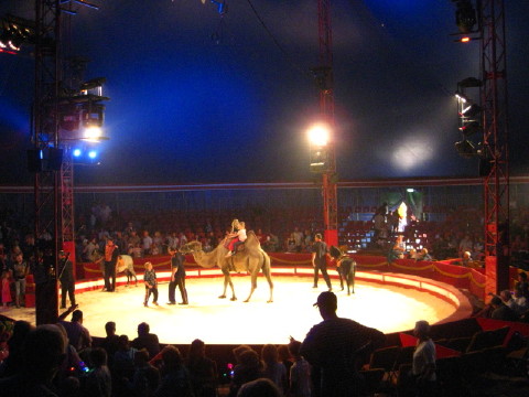 c0180096_9364840.jpg