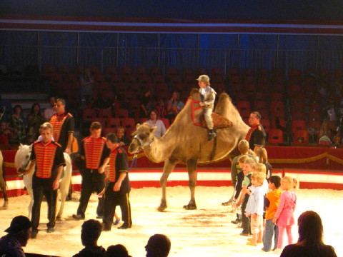 c0180096_937232.jpg