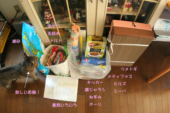 d0071596_20114353.jpg