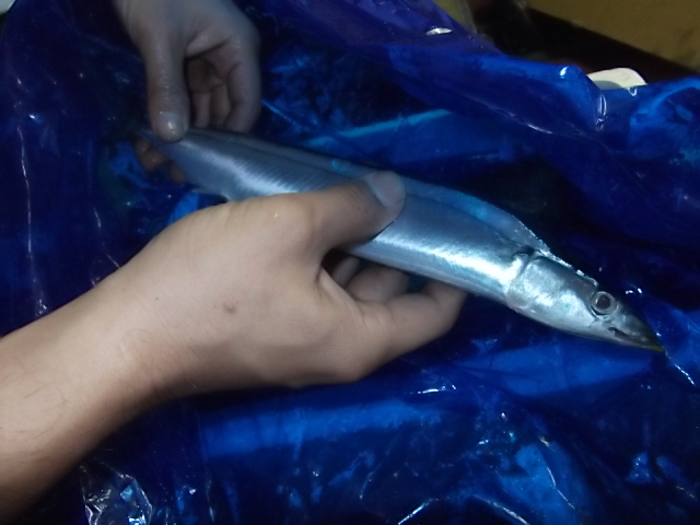 秋の贈り物_a0165898_238574.jpg
