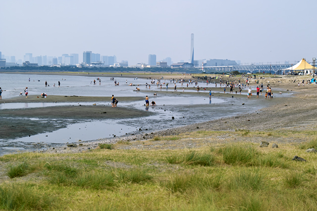 渚の想い出・・・葛西海浜公園 _d0069398_722863.jpg