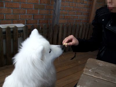 d0149103_8275960.jpg