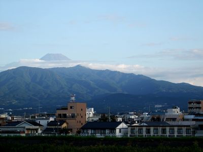 d0149103_83406.jpg