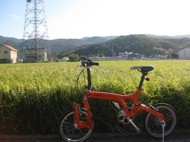 f0197703_1222350.jpg