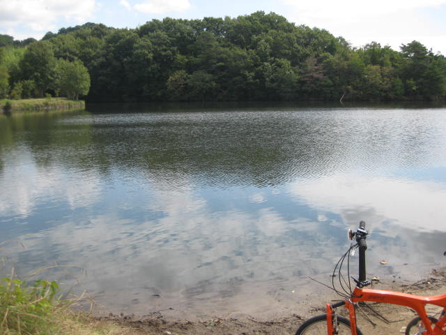 f0197703_1245749.jpg