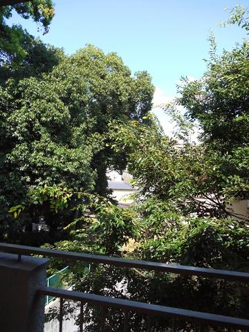 c0098304_14134419.jpg