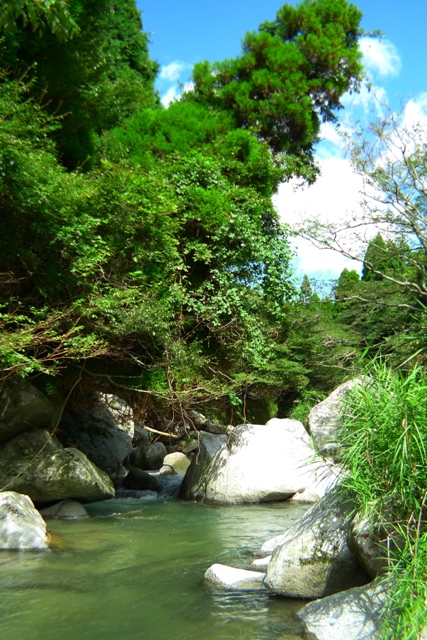 a0097006_0201324.jpg