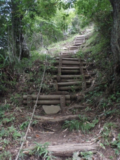 氷ノ山山系トレイル50mile　　★コースガイド（鉢伏山～氷ノ山まで）_d0053509_232838.jpg