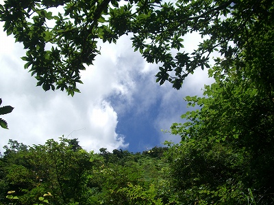 根子岳東峰登山(1)_d0116009_357428.jpg