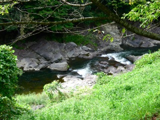 a0129311_1353784.jpg