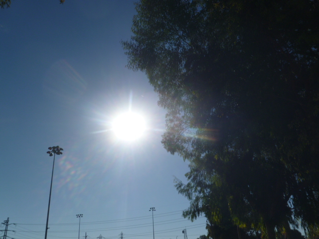 a0144811_8554636.jpg