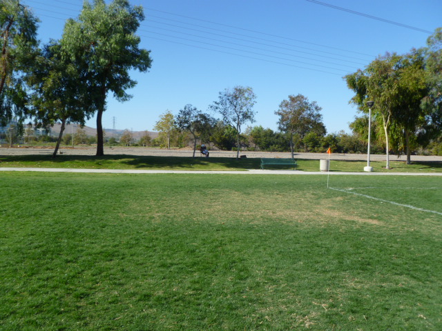a0144811_857249.jpg