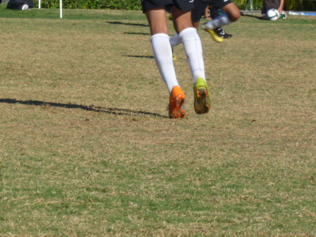 a0144811_857399.jpg