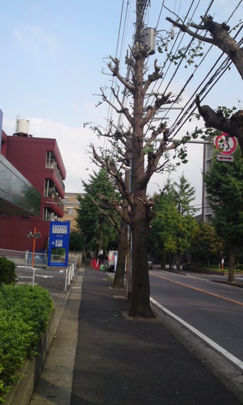 b0184211_178168.jpg