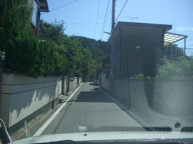 d0146612_1548098.jpg