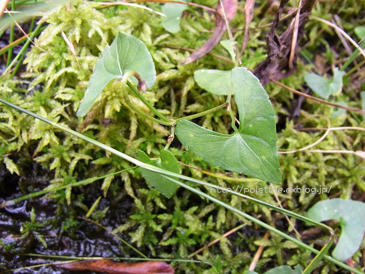 c0200413_10441467.jpg