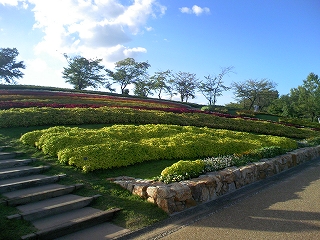 b0163114_14563773.jpg