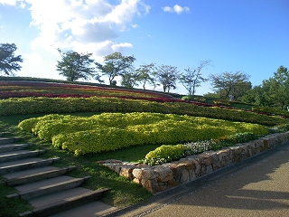 やまと花ごよみ　2010にお散歩_b0163114_14563773.jpg