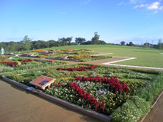 b0163114_1456468.jpg