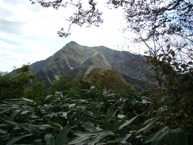 a0127015_18564947.jpg