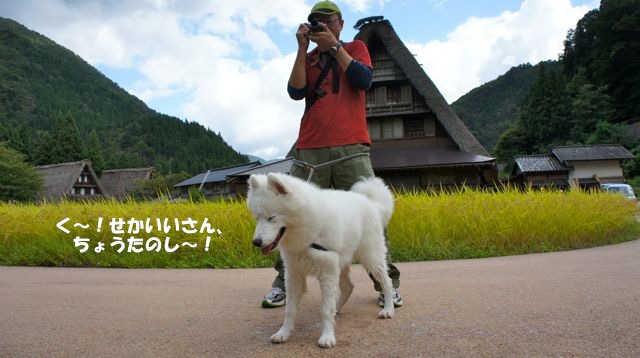 関東から逃亡_世界遺産編_f0234023_104239.jpg