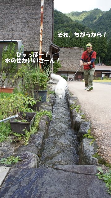 関東から逃亡_世界遺産編_f0234023_9594414.jpg