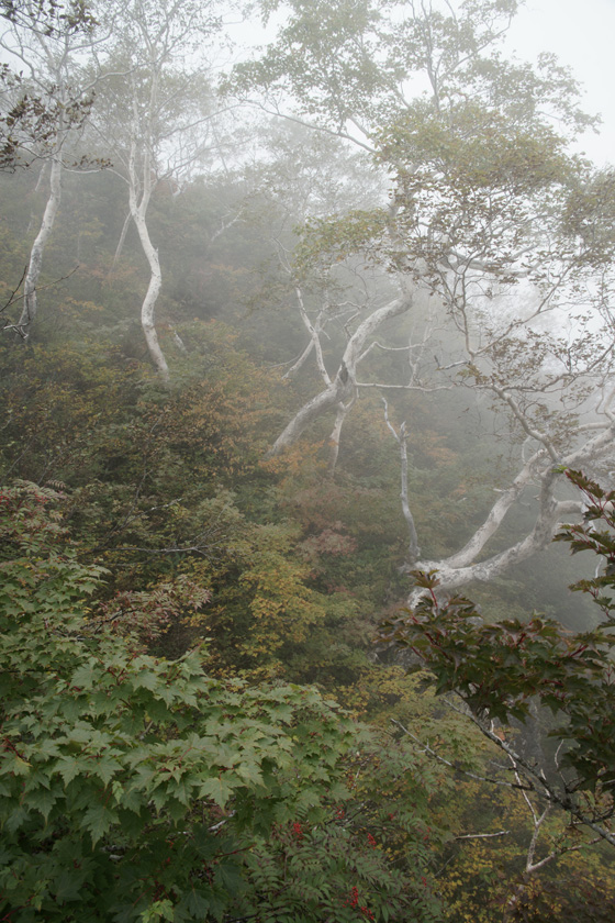 a0068424_2332753.jpg