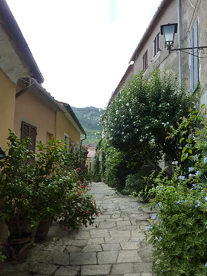 a0161826_76596.jpg