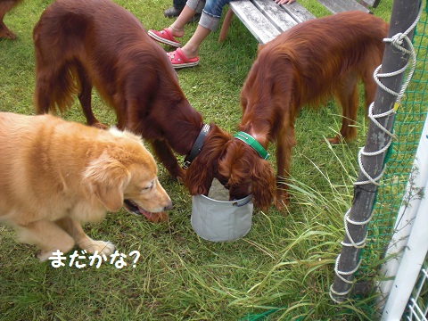 f0114128_20212373.jpg