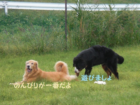 f0114128_20304718.jpg