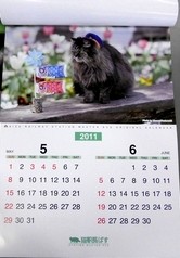 卓上版は今月から使えます - 2011年の「猫駅長ばす」カレンダーを発売_e0113829_1481465.jpg
