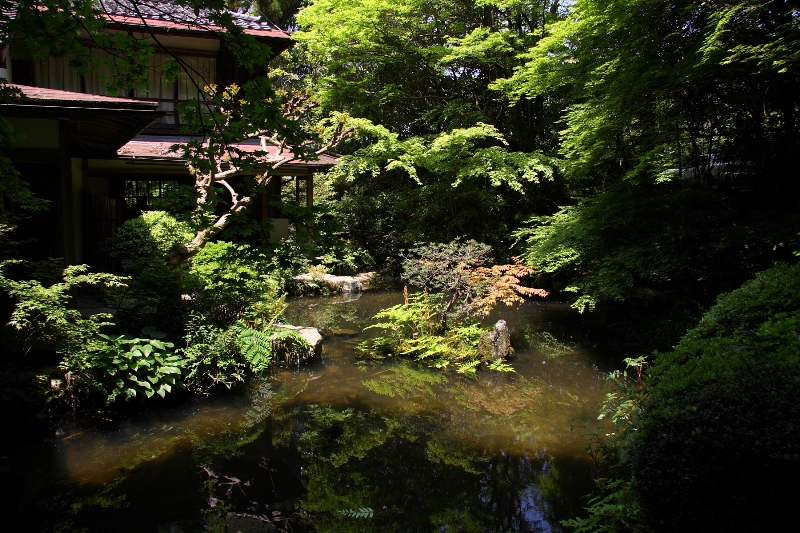 京都に泊まる② －長楽寺宿坊「遊行庵」－_b0169330_7521250.jpg