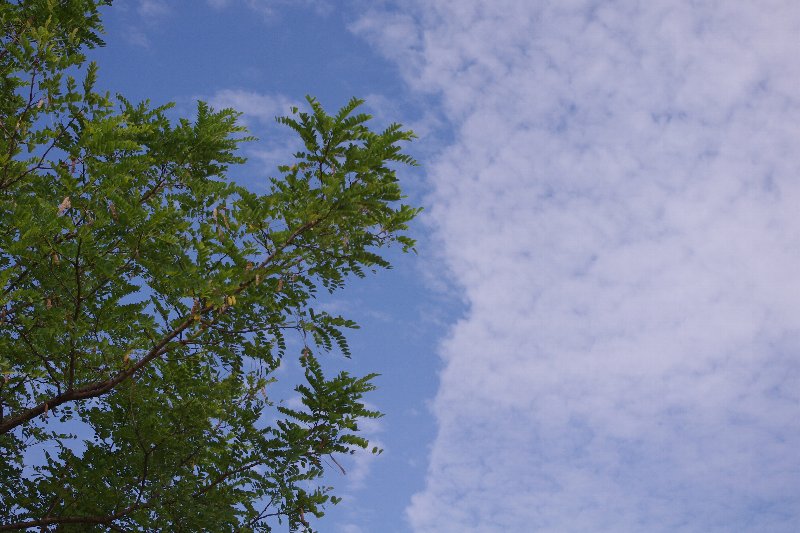 c0113733_0491858.jpg