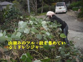 伐採作業 初日_f0031037_2110251.jpg