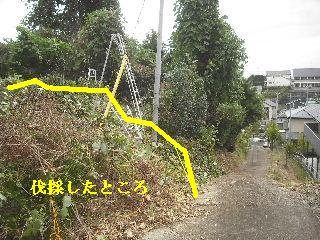 伐採作業 初日_f0031037_21848100.jpg