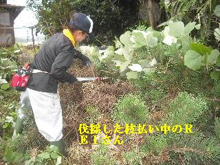 伐採作業 初日_f0031037_2194383.jpg