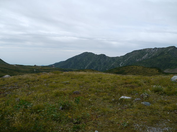 b0190242_12433.jpg