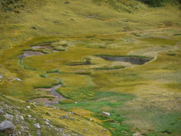b0190242_13186.jpg