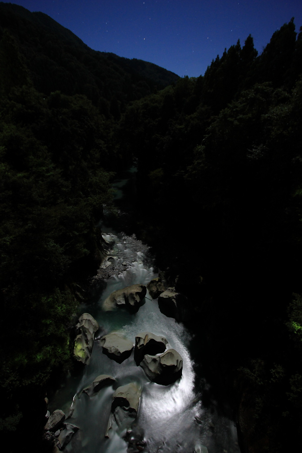d0135242_652132.jpg