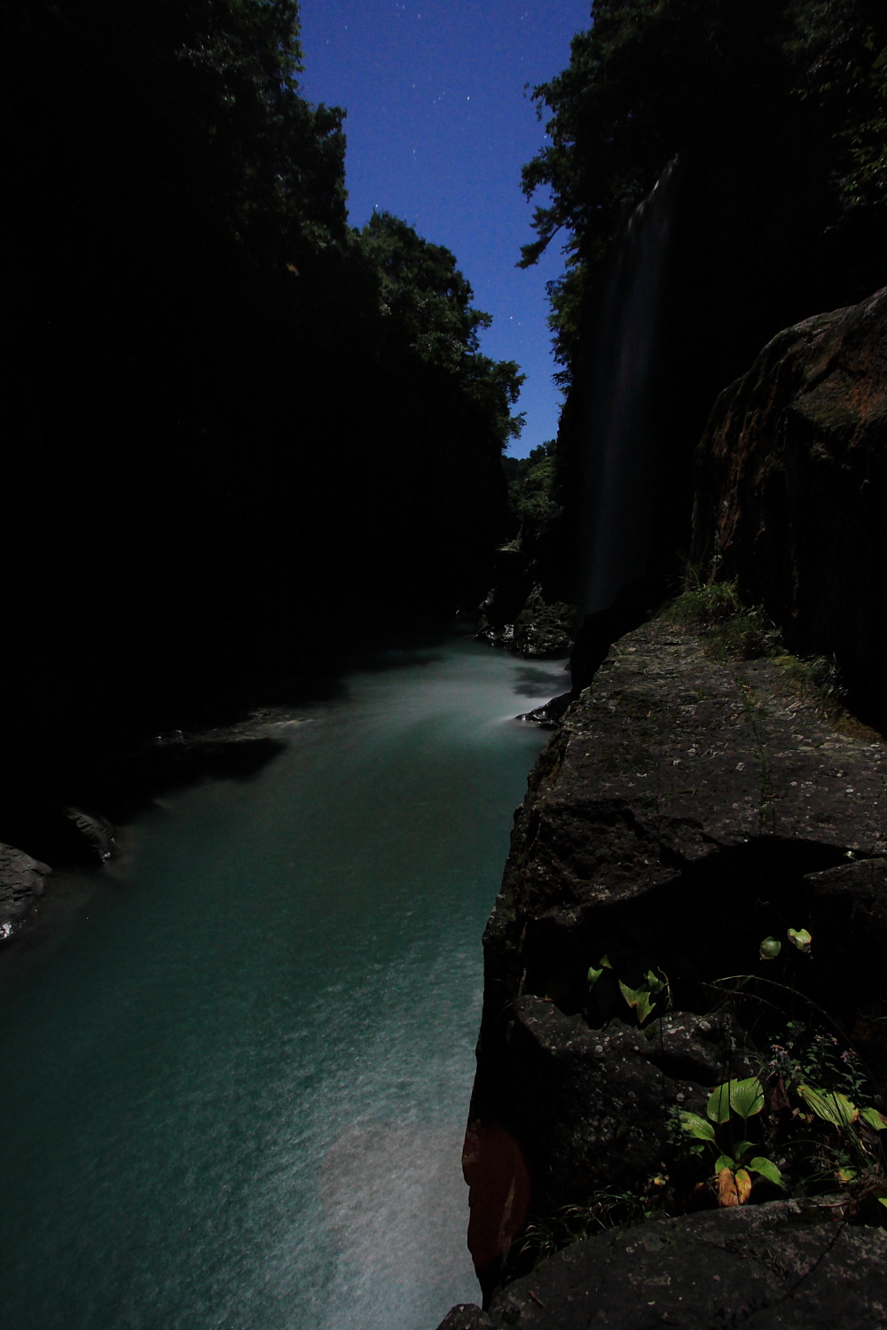 d0135242_66869.jpg