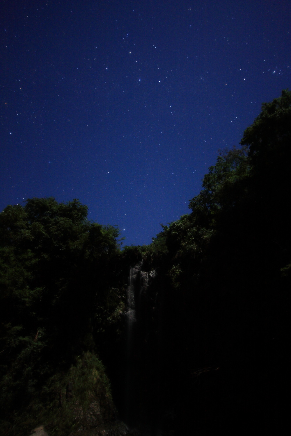 d0135242_67351.jpg